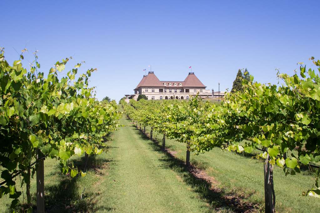 Chateau Elan - photo 54