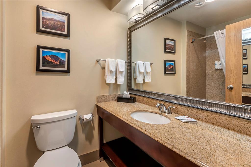 Comfort Inn & Suites Durango - photo 16