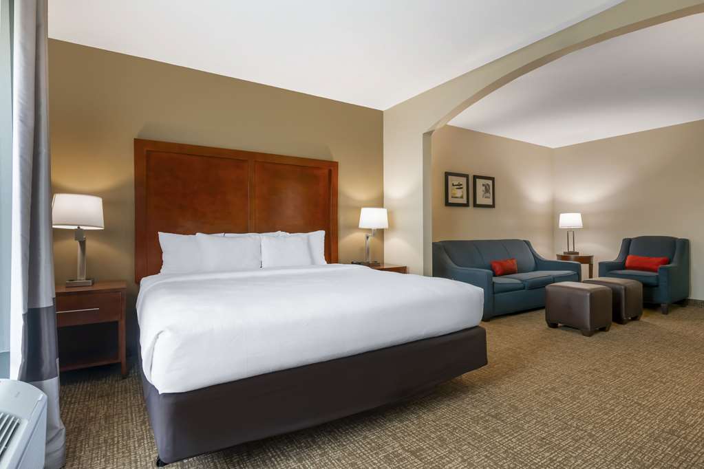 Comfort Inn & Suites Tavares North - photo 39
