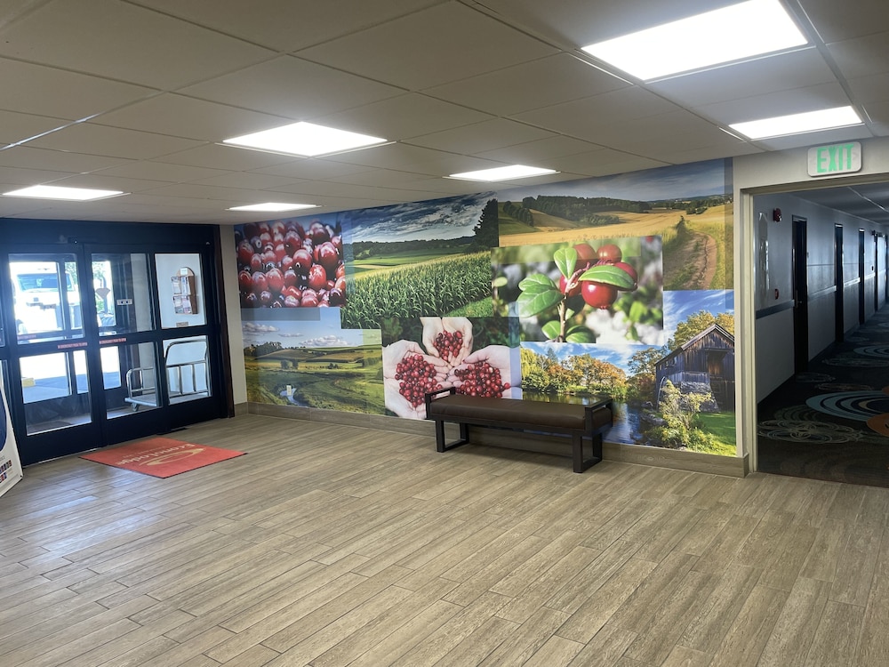Red Roof Inn & Suites Tomah - photo 5