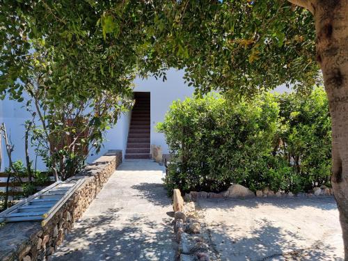 Appartamento La Paduledda — Budoni — photo 2
