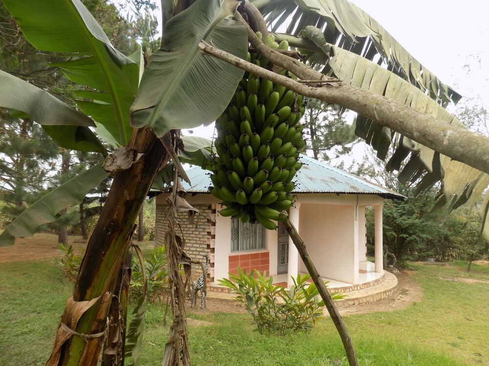 Bettina Resort Hotel in Bushenyi, Republic of Uganda