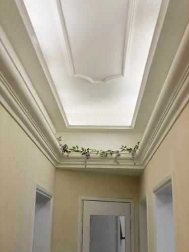 Ad Agio Apartments — 4-Star Luxury Hotel in Pisa, Italy