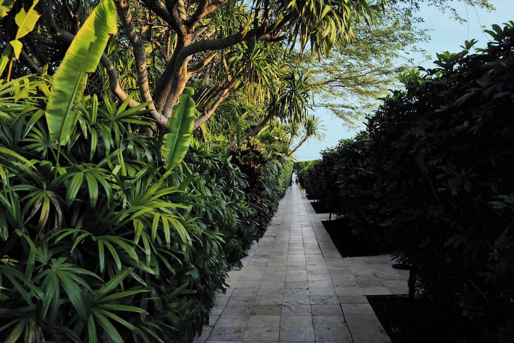 The Standard Spa Miami Beach - photo 43