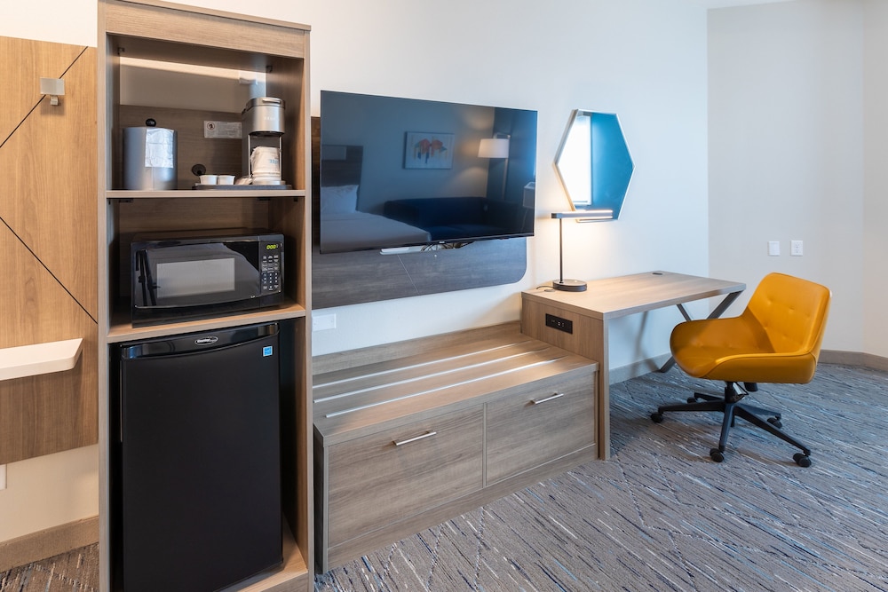 Holiday Inn Express & Sts Englewood Denver South - photo 10
