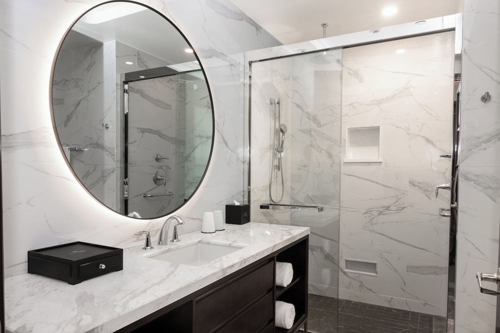 Blossom Hotel Houston Curio Collection by Hilton - photo 67