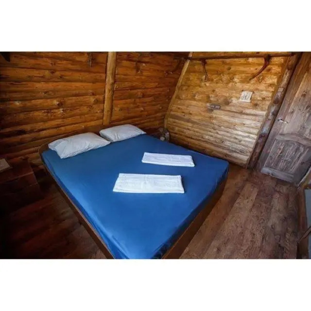 Shark Park in Rostov, Russia