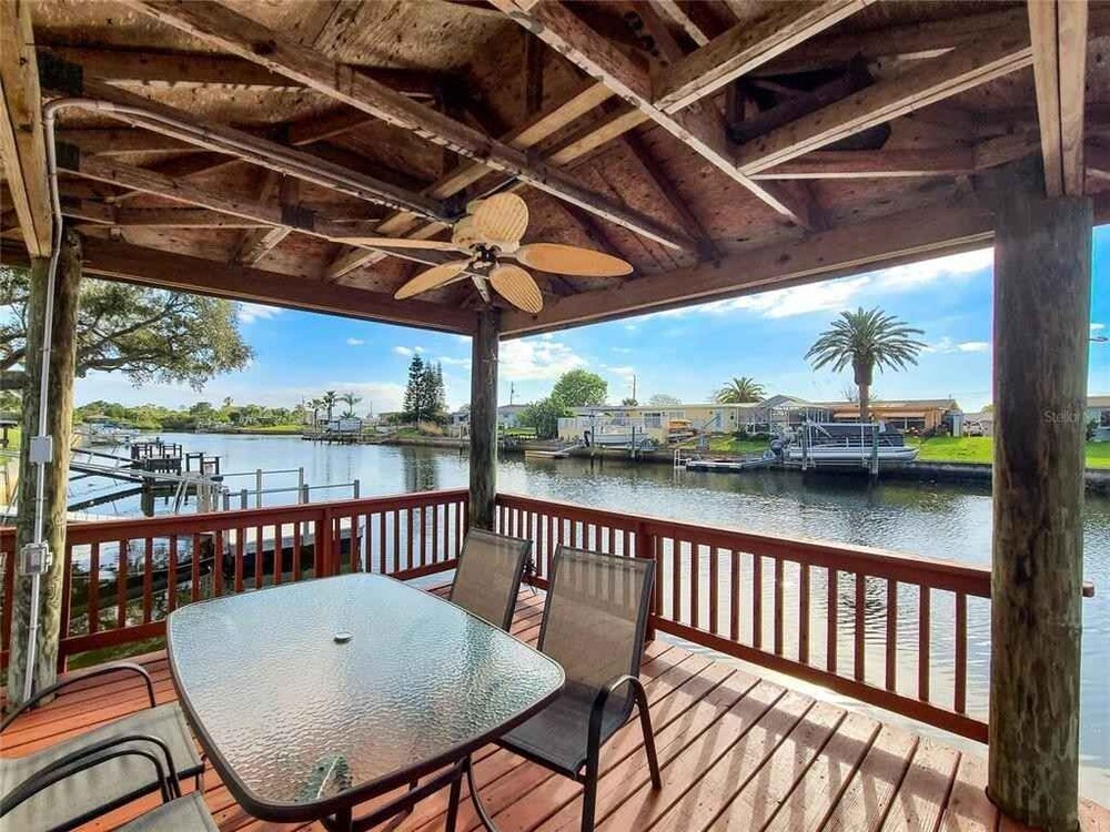 Enjoy Sunset with Dolphin and Manatee in Hudson, United States