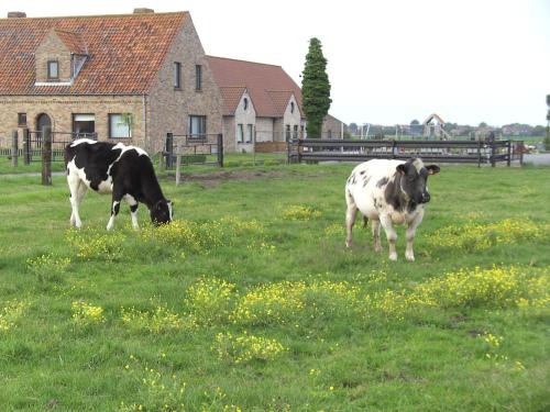‘t Vossenerf in De Haan, Belgium