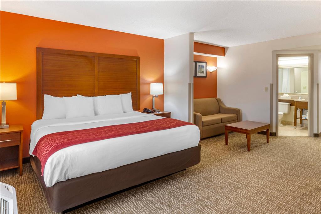Comfort Inn Greensboro Kernersville - photo 17
