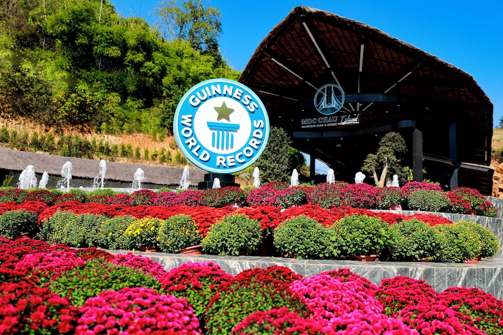 Moc Chau Island Bach Long Glass Bridge in Moc Chau, Vietnam