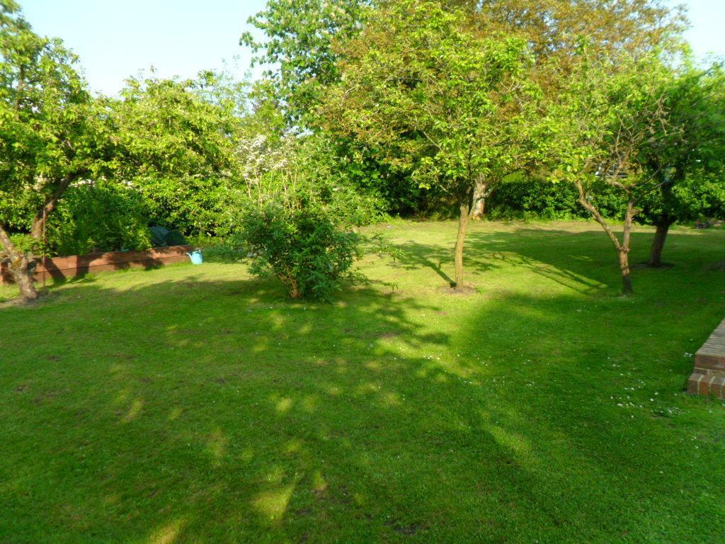 Phoenix House — Watton — photo 4