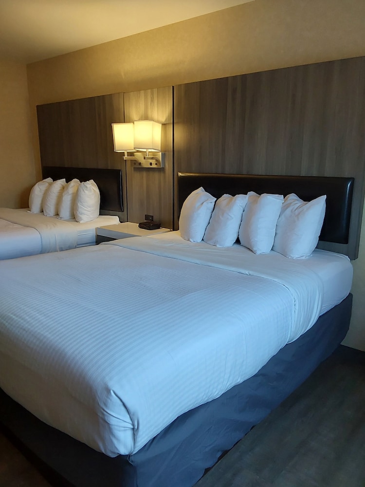 Lavissh Inn & Suites - photo 9