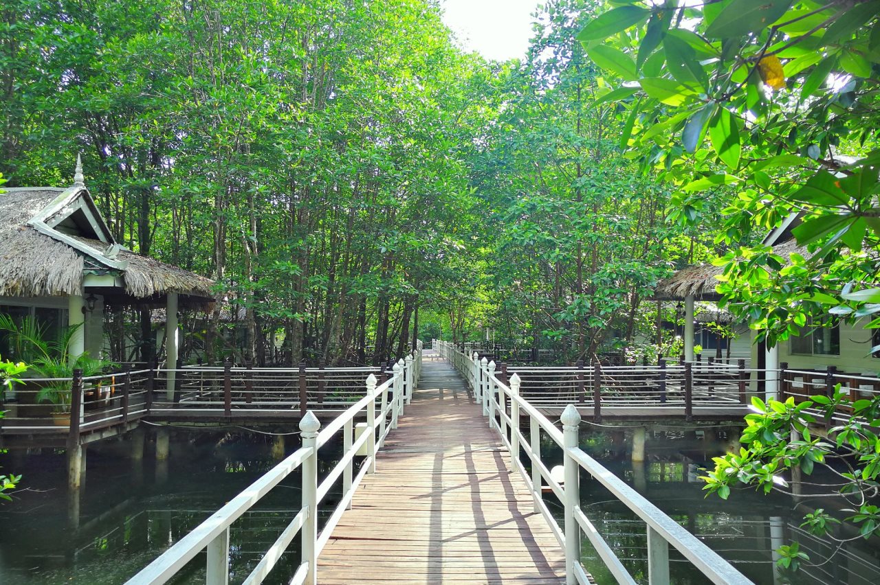 Mangrove Sanctuary Resort in Koh Kong, Cambodia