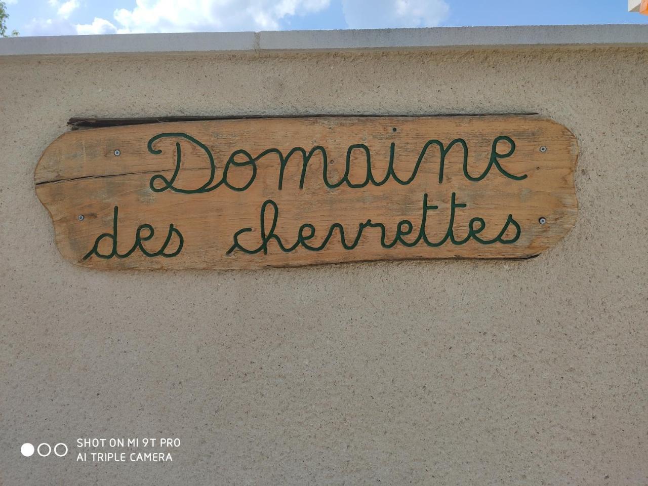 Domaine Des Chevrettes — hotel in Cour-Cheverny
