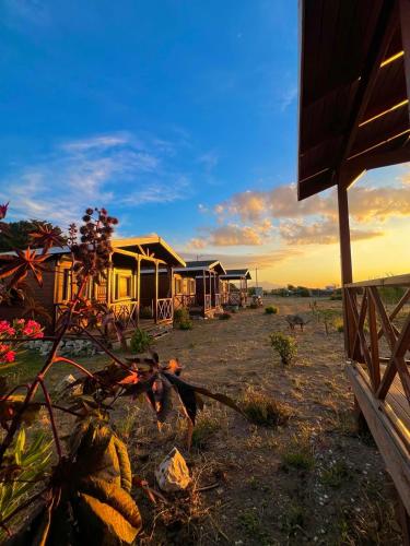 Satsumania Village in Karaburun, Turkey