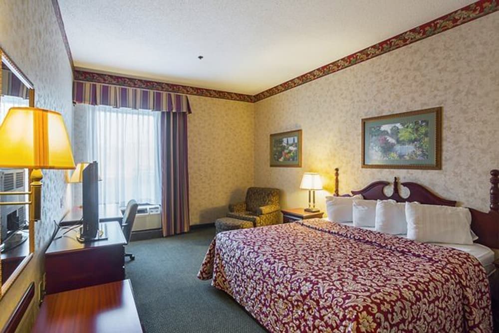 Red Roof Inn Whitley City - photo 4