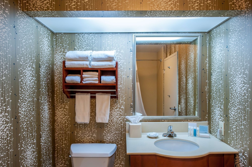 Hampton Inn by Hilton Bowling Green - photo 21