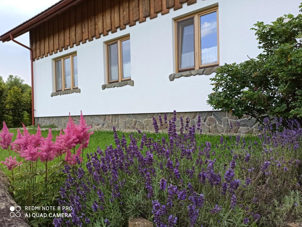 Domowe Pielesze — hotel in Olszanica
