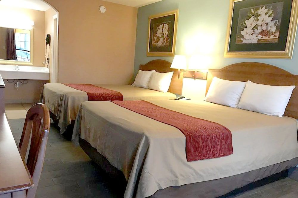 Coratel Inn and Suites By Jasper Anthony - photo 9