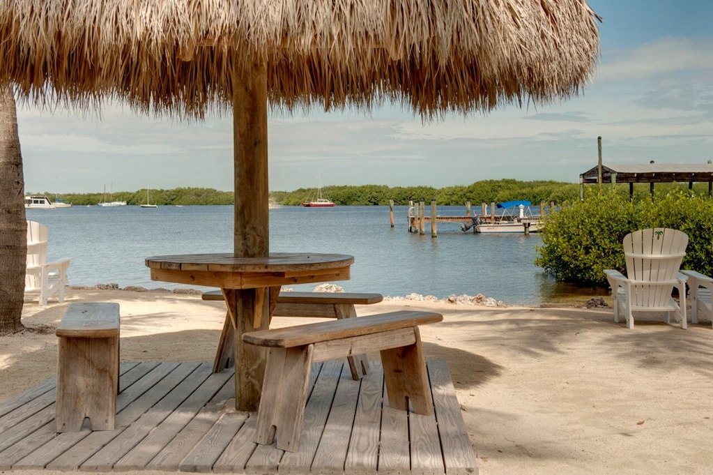 Coconut Palm Inn - photo 38