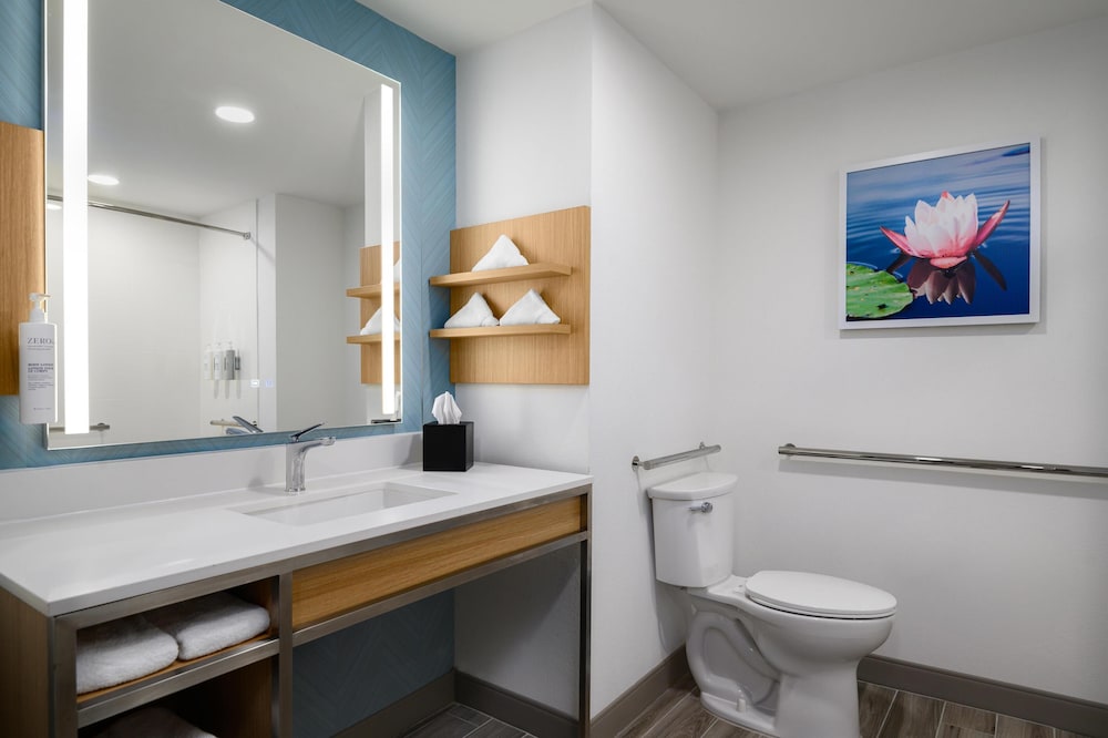 Hilton Garden Inn Orlando I 4 Millenia Blvd Mall - photo 25