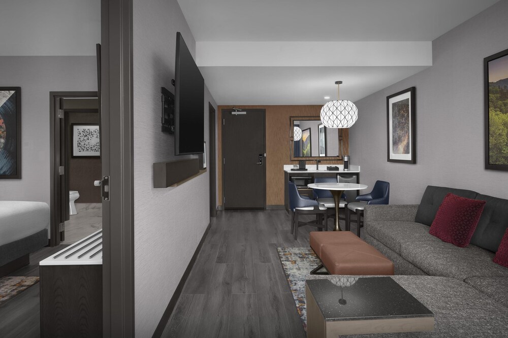 Embassy Suites by Hilton Pigeon Forge Resort - photo 13