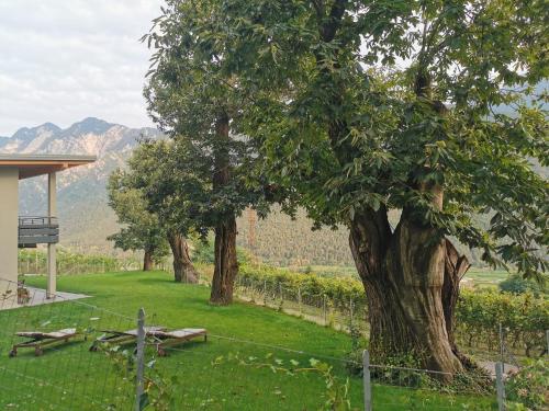 Villa 4 Musketiere — 4-Star Luxury Hotel in Novaledo, Italy