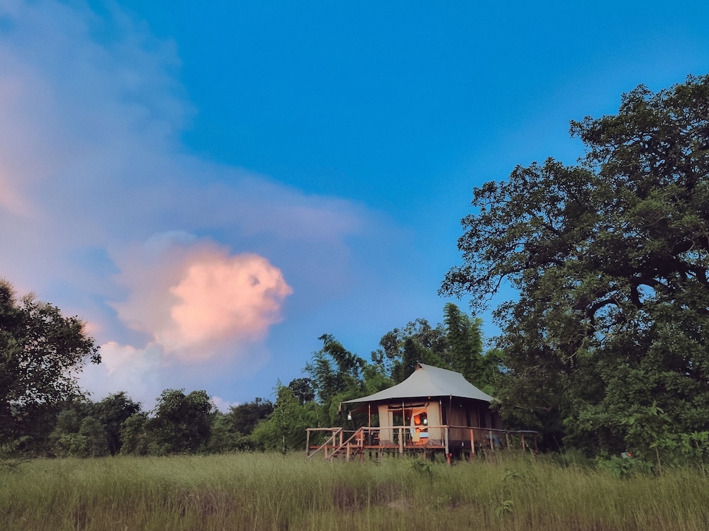 The Untamed Bandhavgarh By Tutc — Manpur