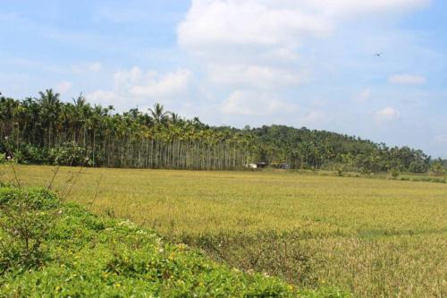 Wayal Wayanad Honey moon villa — Panamaram — photo 4