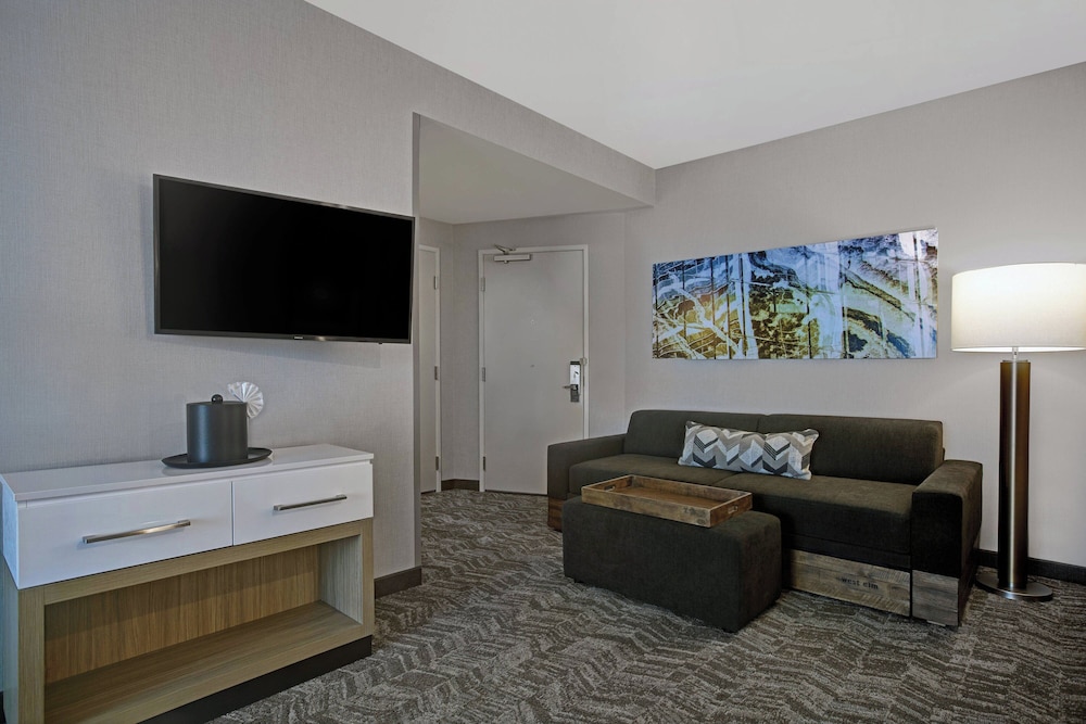 SpringHill Suites by Marriott Franklin Cool Springs - photo 21