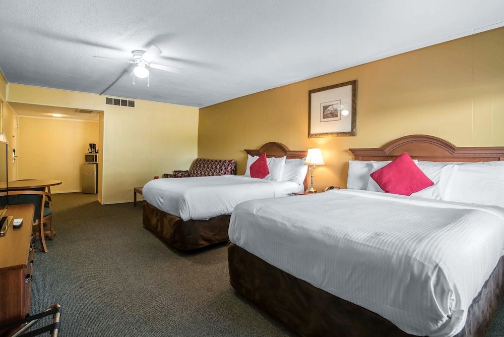 Econo Lodge Inn & Suites Tilton - photo 13