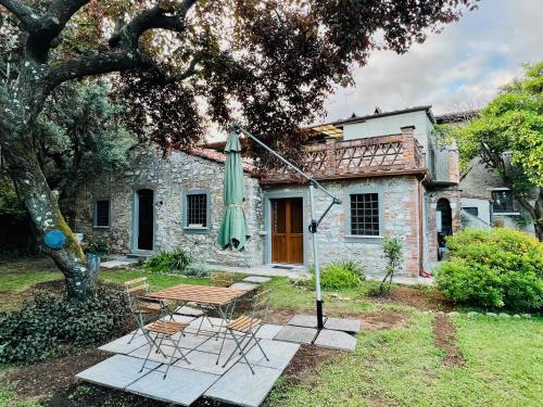La Casina di Susy — Seravezza — photo 5