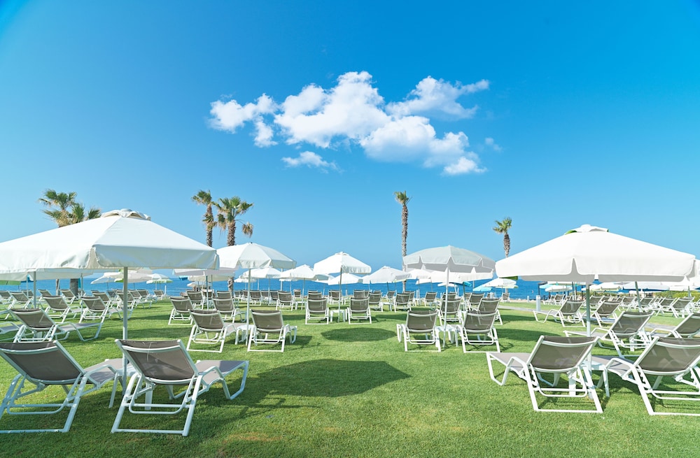 שטחי חוץ / גן