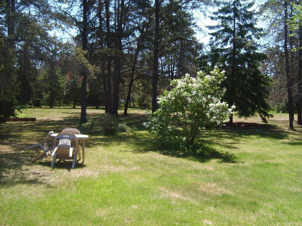 Edelweiss Motel - photo 45