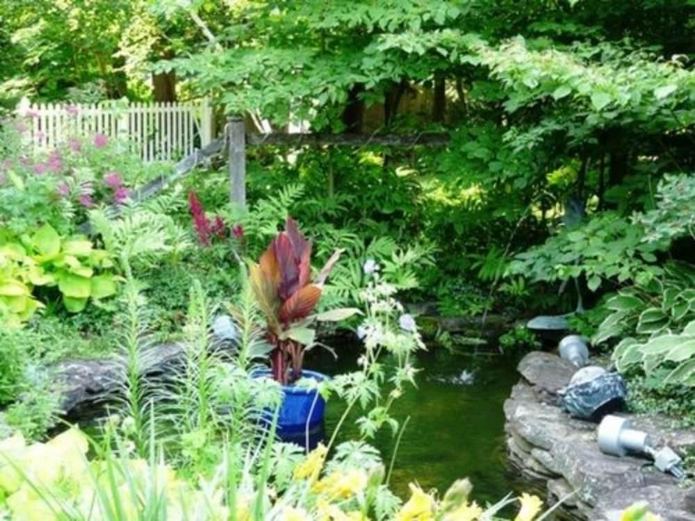 The Lilac Inn - photo 97
