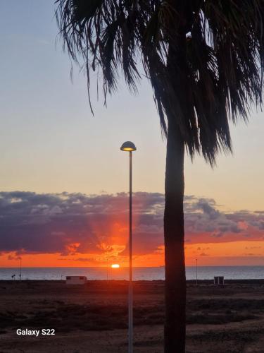 Marveo in La Oliva, Spain