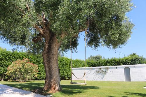 AllaTorretta23 — Fasano — photo 3