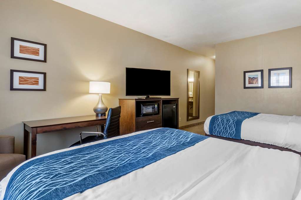 Comfort Inn & Suites Waterloo Cedar Falls - photo 11