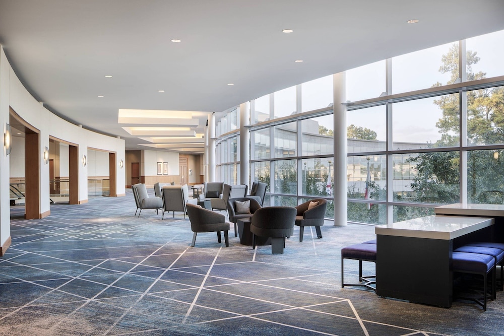 The Woodlands Waterway Marriott Hotel & Convention Center - photo 65
