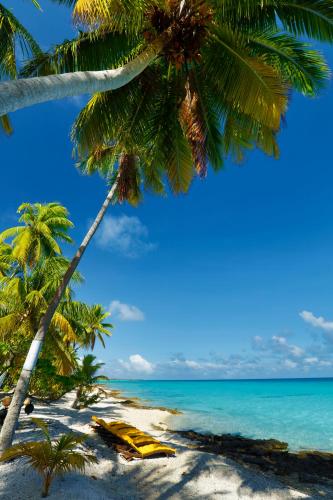 Fafarua Private Island — Unknown City — photo 3