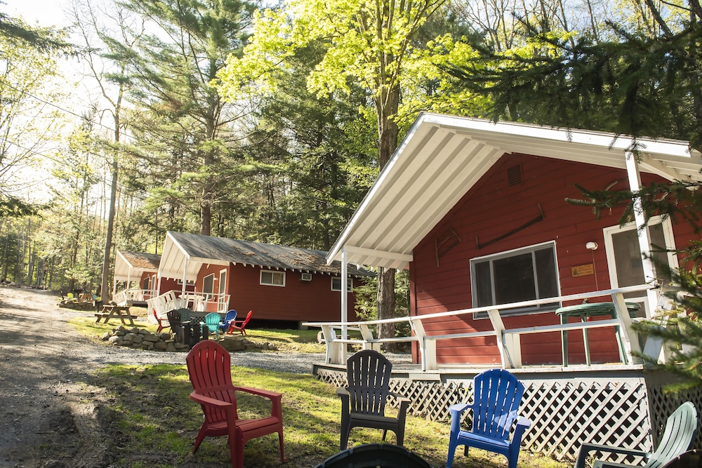 Forest Hill Lodge & Cabins - photo 15
