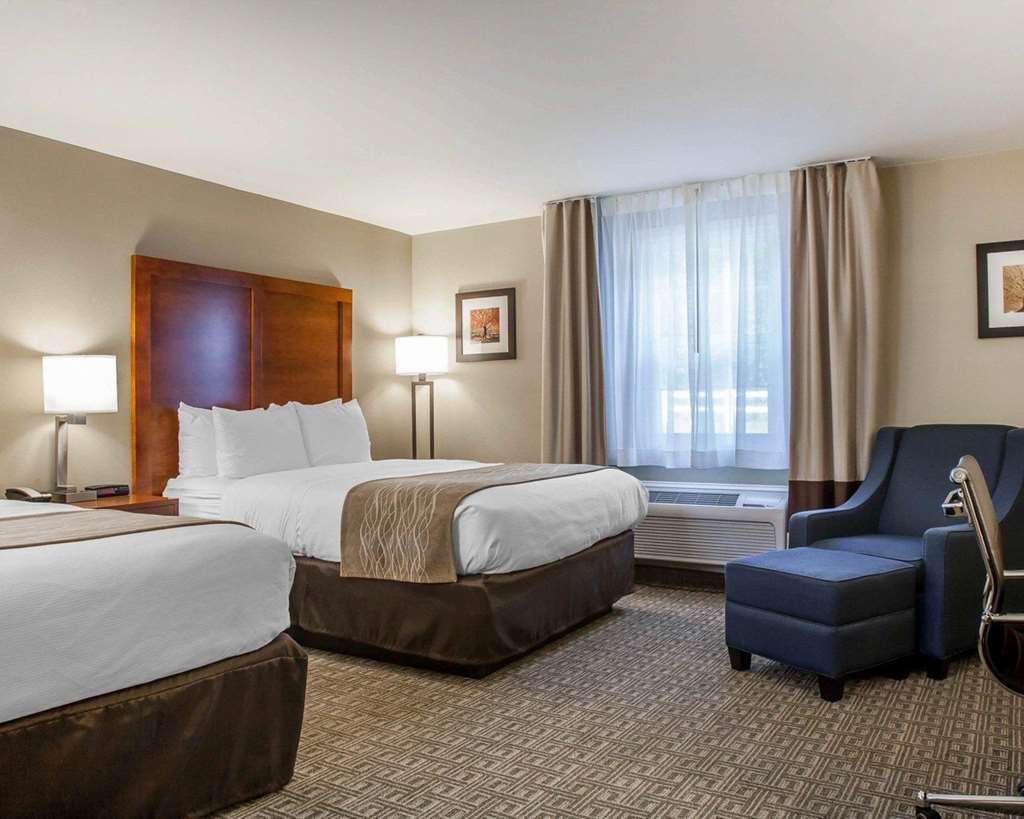 Comfort Inn & Suites Sturbridge Brimfield - photo 15