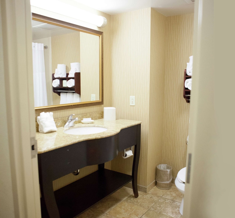 Hampton Inn Rochester Webster - photo 27