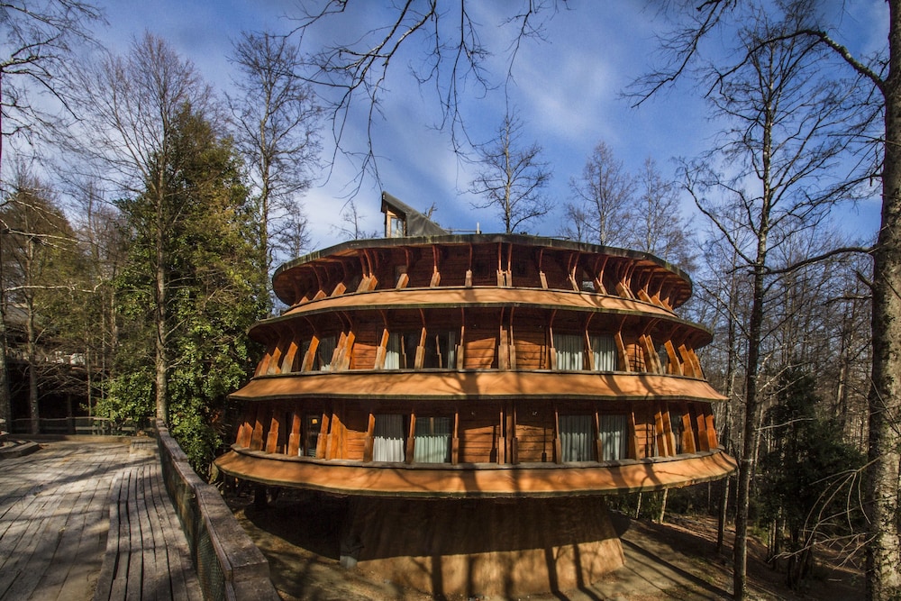 Huilo Huilo Reino Fungi in Panguipulli, Chile