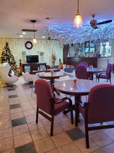 Houston Inn and Suites - photo 2