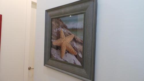 La Isla South Padre Residences - photo 41