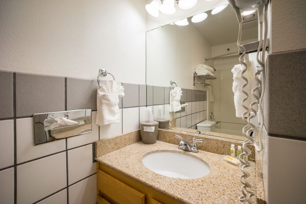 San Mateo SFO Airport Hotel - photo 25