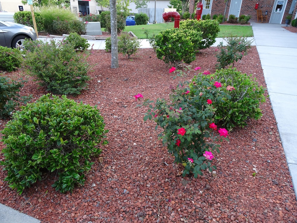 Affordable Suites Kannapolis - photo 43
