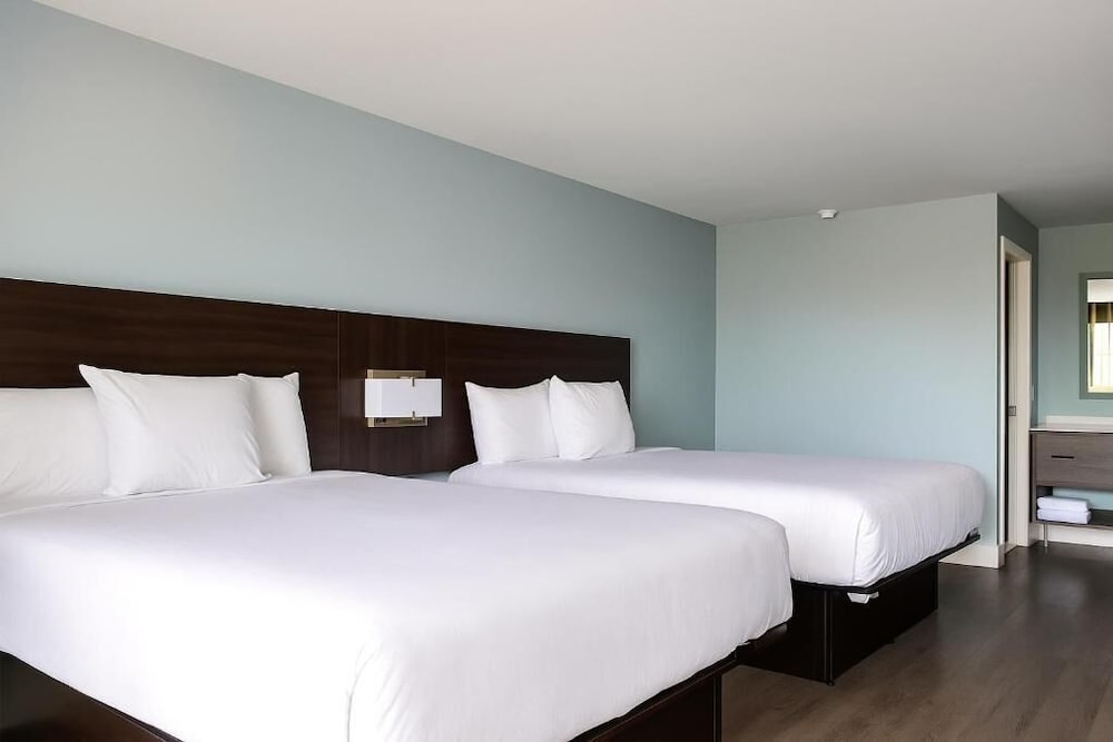 Florence Inn and Suites - photo 14